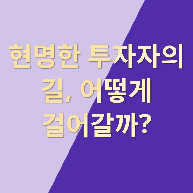 투자 사기 방지_4