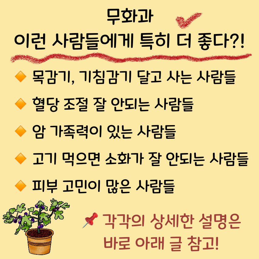 무화과 효능 효과