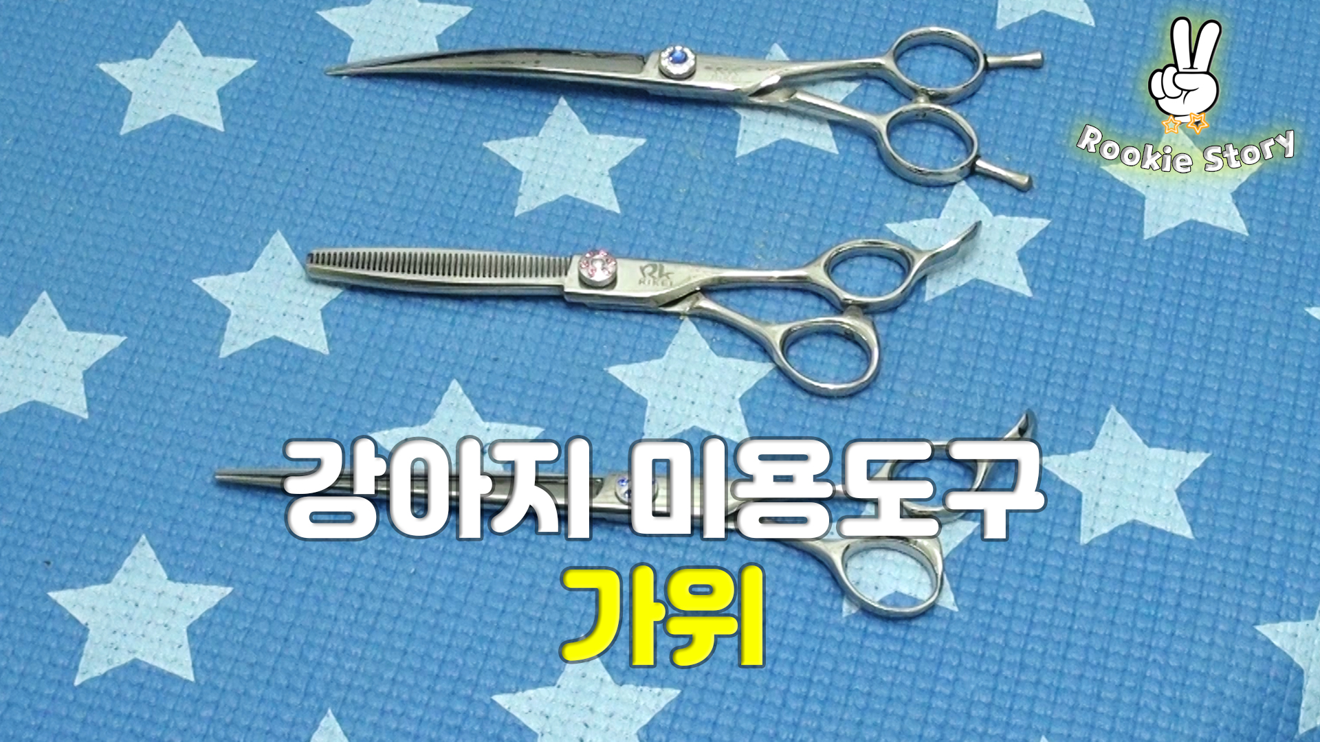  애견 셀프 미용 도구 강아지 미용 가위 추천