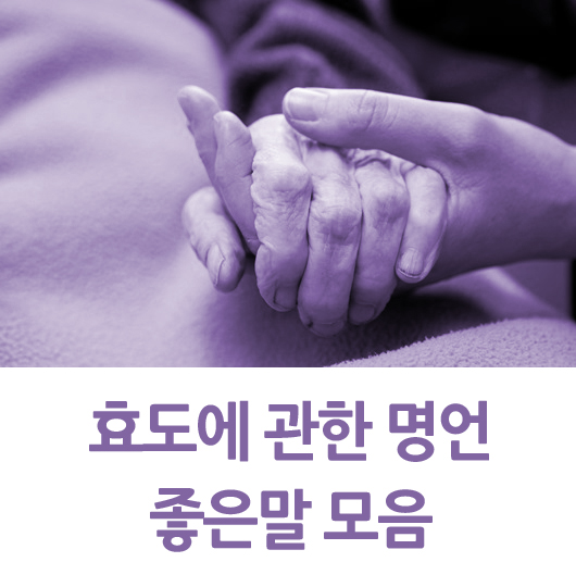  효도에 관한 명언 좋은말 모음집
