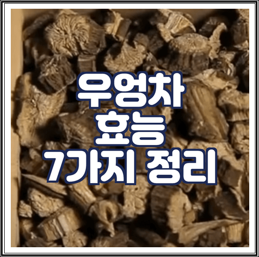  우엉차 효능 7가지 정리
