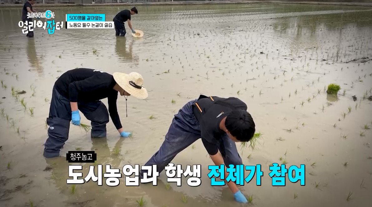 개신기한 병아리 꿈틀대면서 부화하는 모습...jpg | 인스티즈