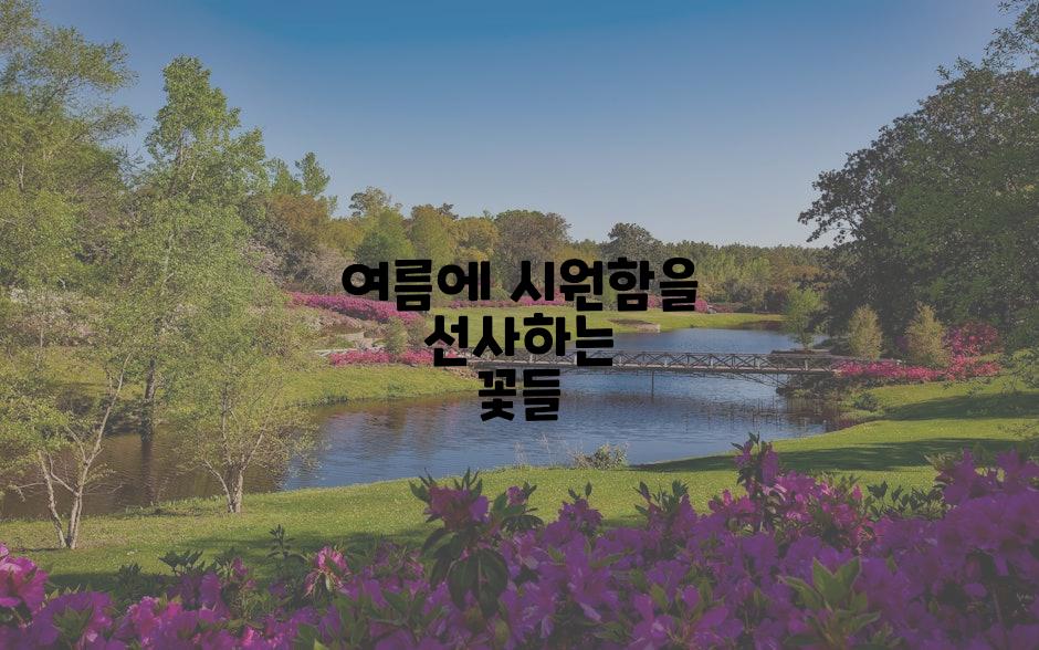 여름에 시원함을 선사하는 꽃들