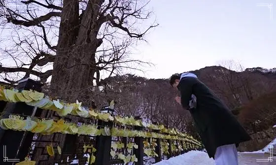 나혼자산다 나혼산 전현무 순대국 모듬순대 시래기 토종 순댓국 대상 수상 축하 다음날 숙취 해장 팜유 이장우 랜선 미식회 맛있는 순대국밥 가게 양평 맛집 가격 위치 어디