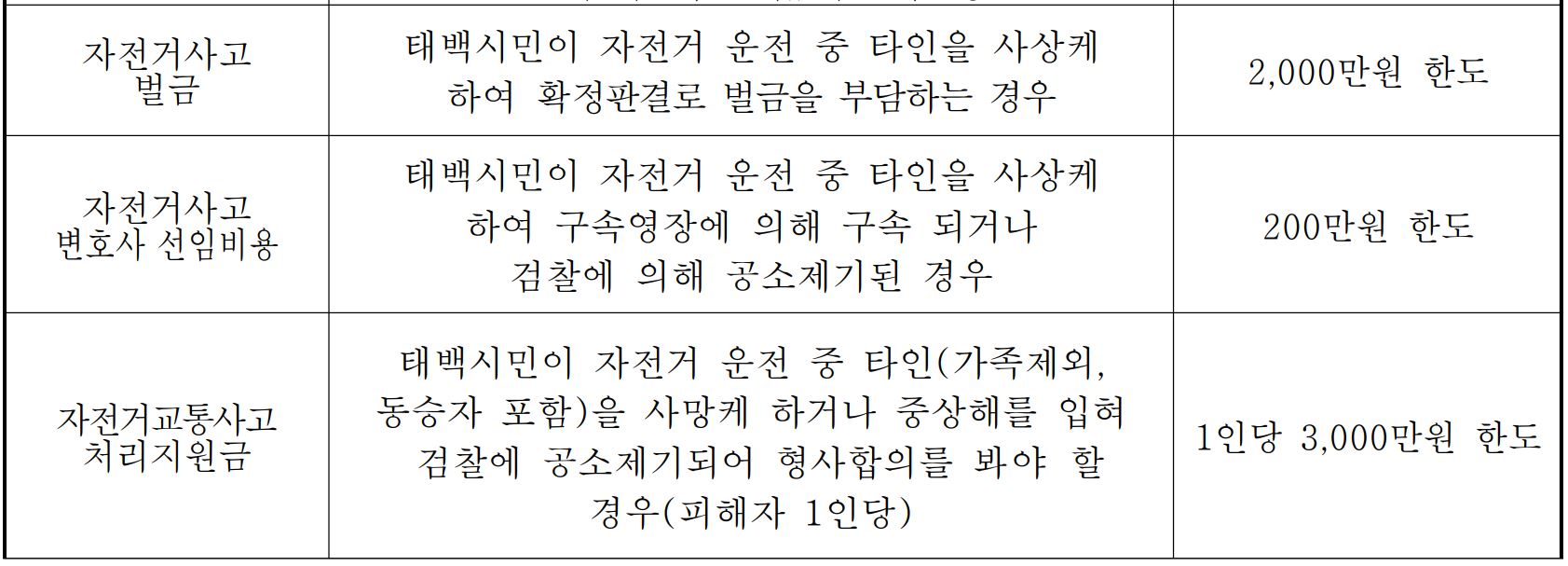 태백시 시민안전보험