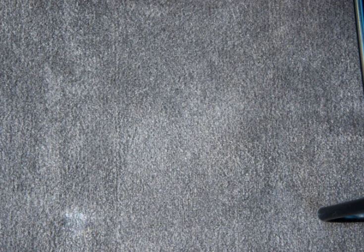 로보락 S7 Plus 카펫 청소 시험 밀가루 말끔히 청소된 이미지