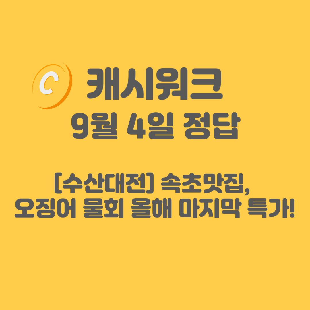 속초맛집-오징어물회-캐시워크