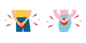 Uterine Fibroids: Frequent Urination May Not Always Indicate Incontinence.