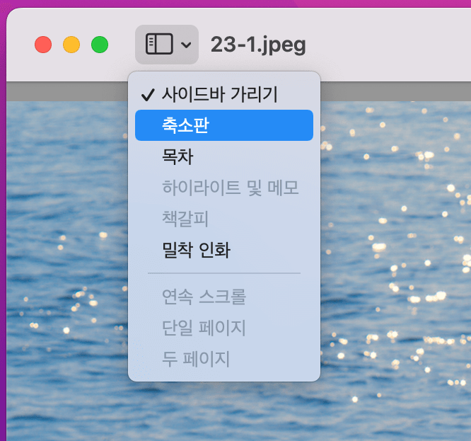 미리보기 창 상단에 사이드바 아이콘을 클릭해 축소판 메뉴 선택