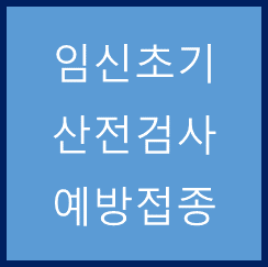  임신초기 산전검사와 예방접종