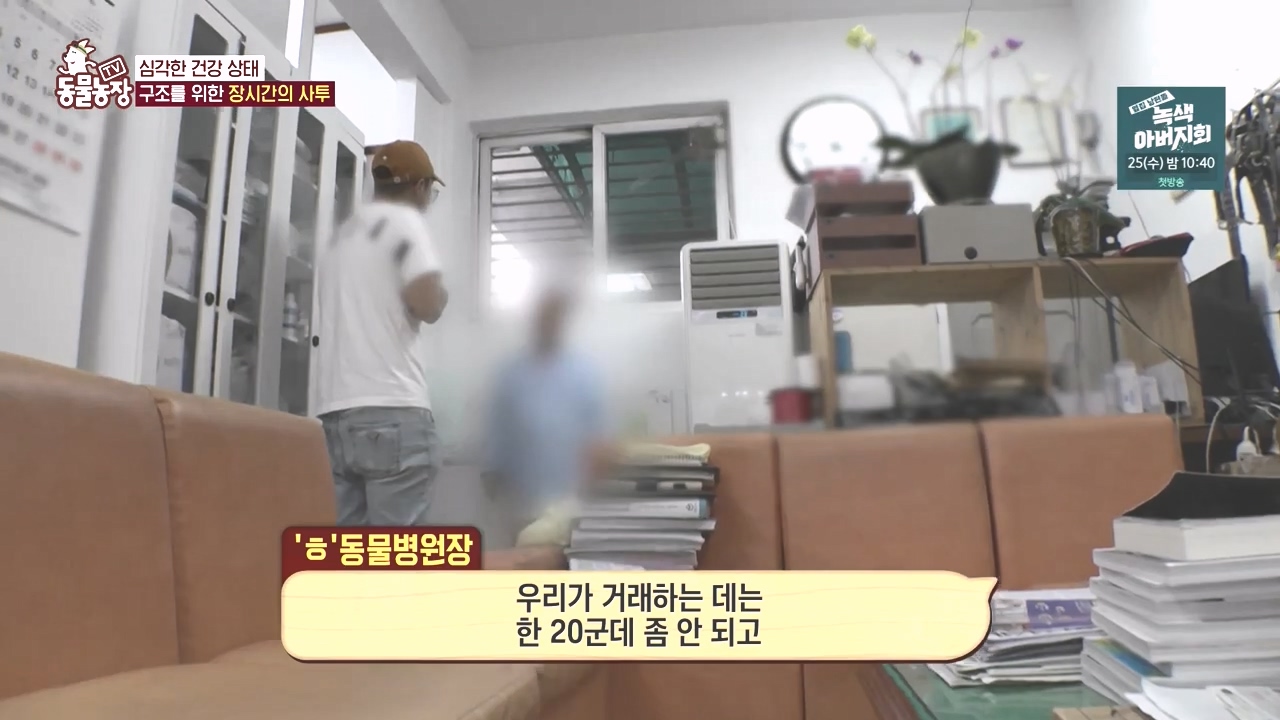 TV 동물농장.E1142.231023p-NEXT.mp4_20231022_172930.245.jpg