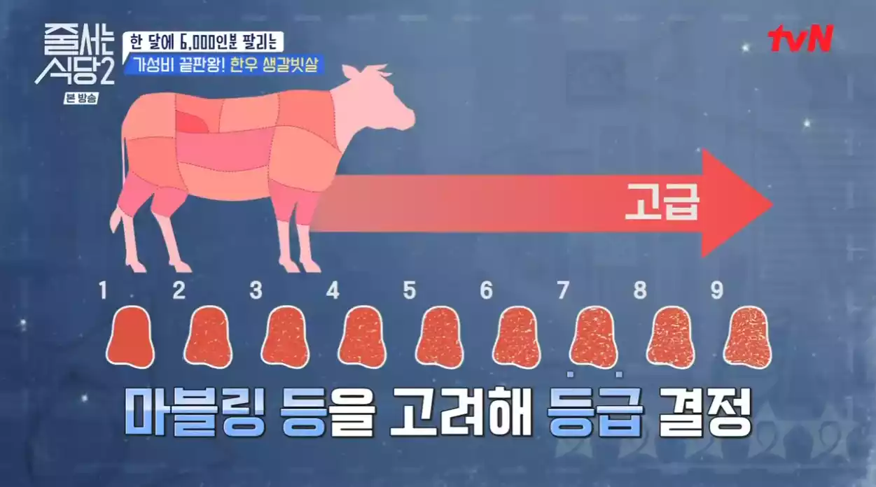 소 마블링 등급