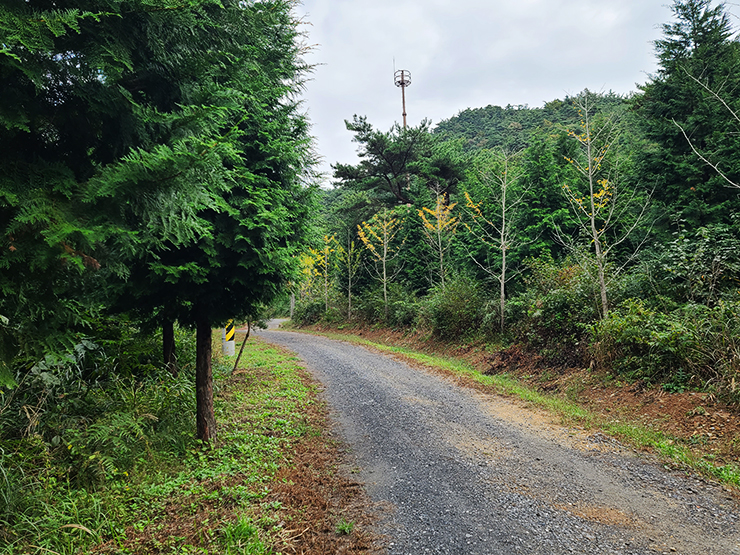 충남 걷기 좋은 숲길 국내여행 걷기 좋은 길, 34