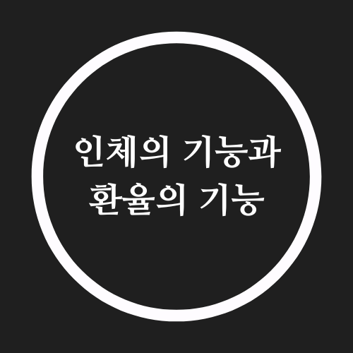  인체의 기능과 환율의 기능