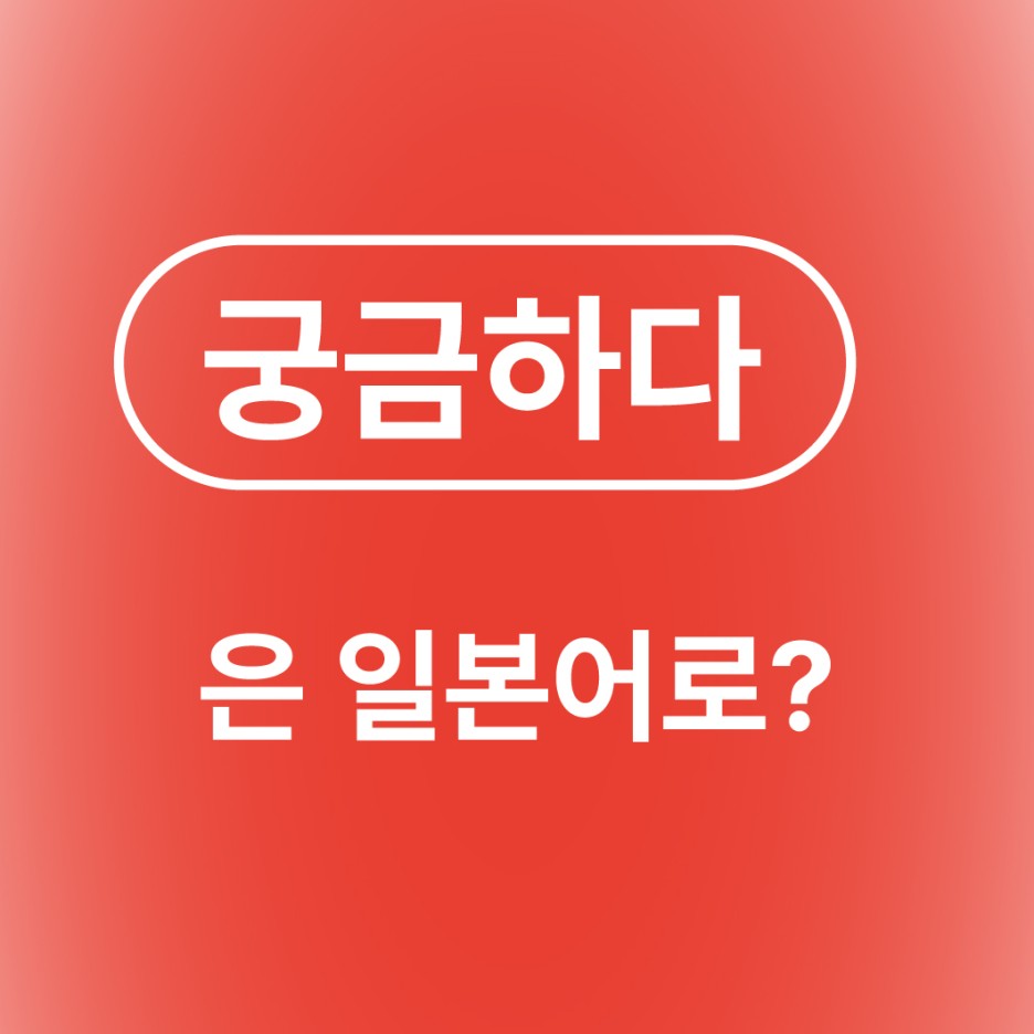궁금하다