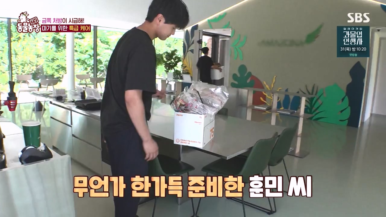 TV 동물농장.E1135.230828p-NEXT.mp4_20230827_180824.135.jpg