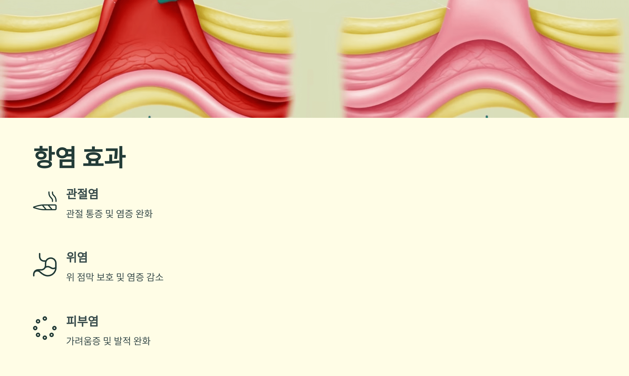 프로폴리스와 관련된 사진입니다.