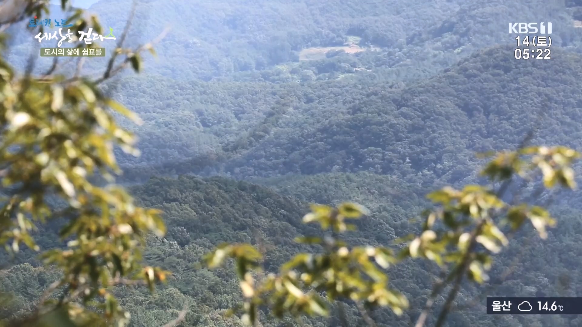 트레킹노트 세상을 걷다.E290.231014p.H264-F1RST.mp4_20231014_181400.340.jpg