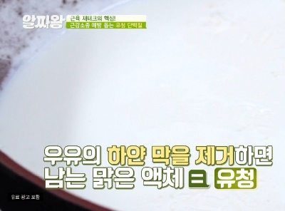  유청 단백질 효능 부작용