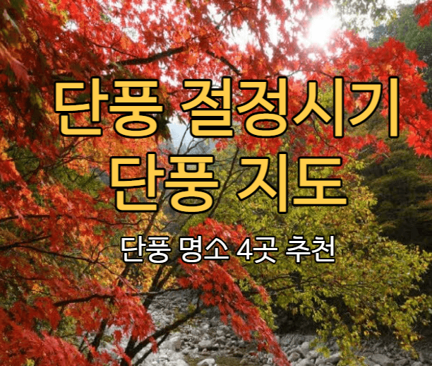  2022 단풍 절정시기 국내 단풍 여행
