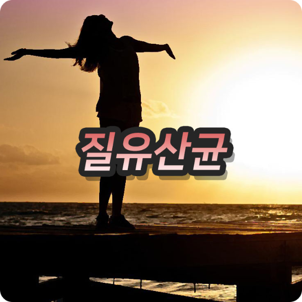  여성 질 유산균이 질 내 환경을 이롭게 하는 이유