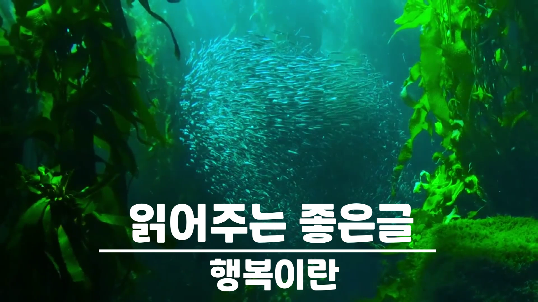  행복이란 /  좋은글 오디오, 좋은글 모음, 명언, 좋은글귀, 일러스트