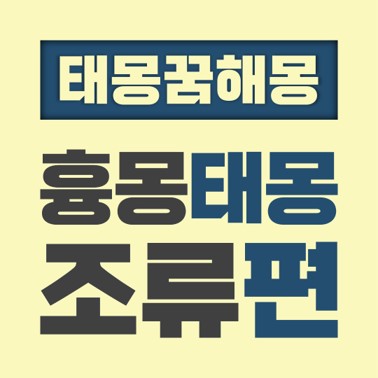  [꿈해몽풀이] 흉몽 태몽 조류편