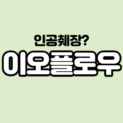  이오플로우 - 어떤 기업인가요? 급등이유,기업분석