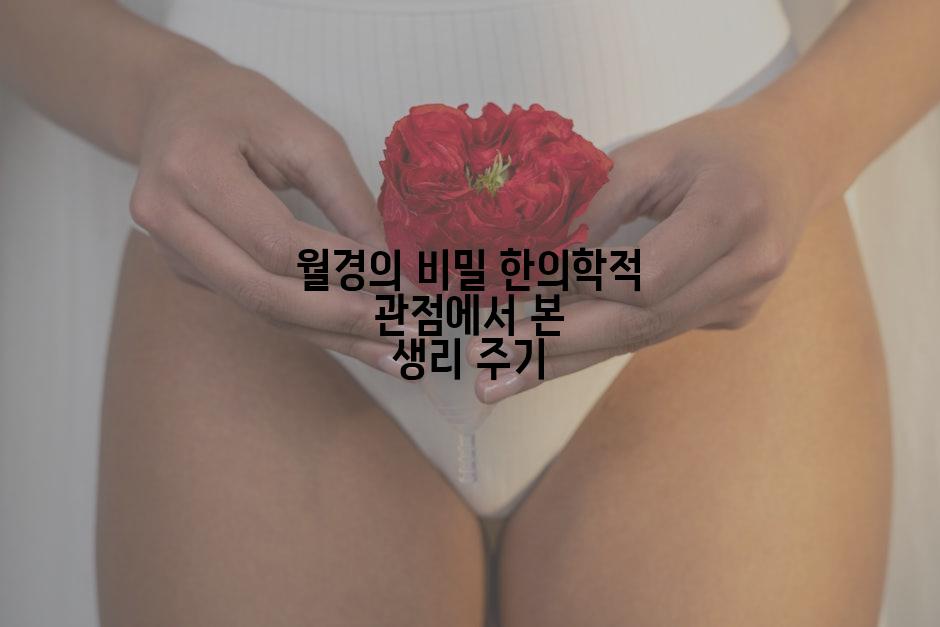 월경의 비밀 한의학적 관점에서 본 생리 주기