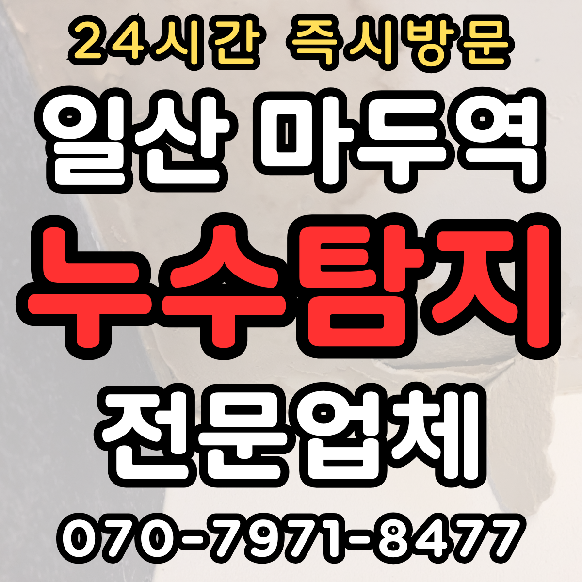 일산 마두역 누수 탐지1