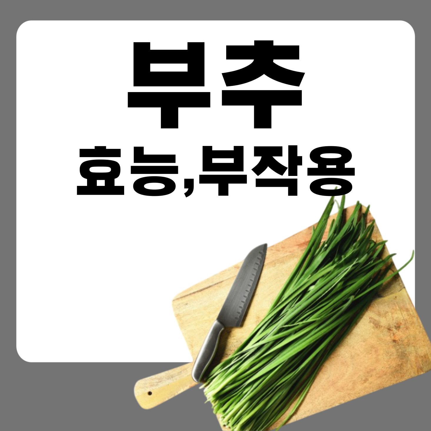 부추_효능_부작용_보관_방법_영양_성분_다이어트_3월_재철_요리