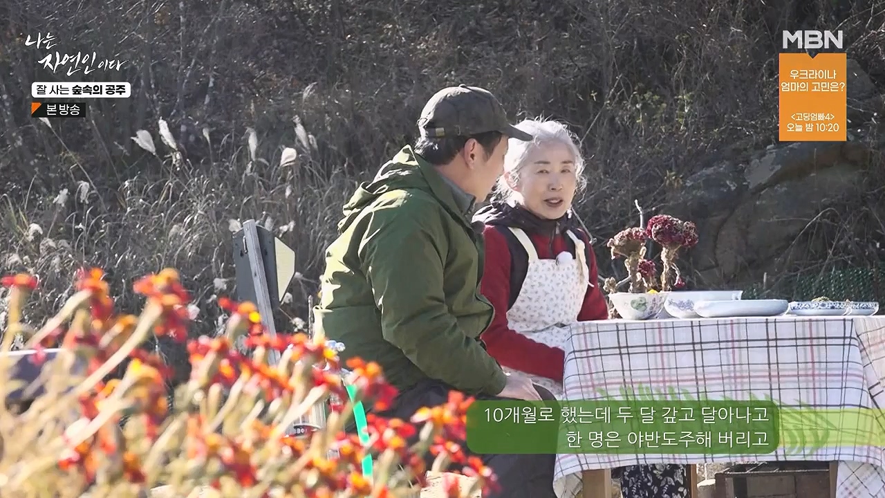 나는 자연인이다.E582.231130p-NEXT.mp4_20231130_200818.076.jpg