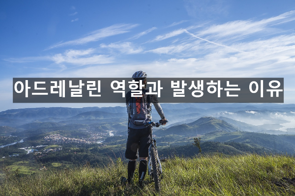  아드레날린 역할과 발생하는 이유