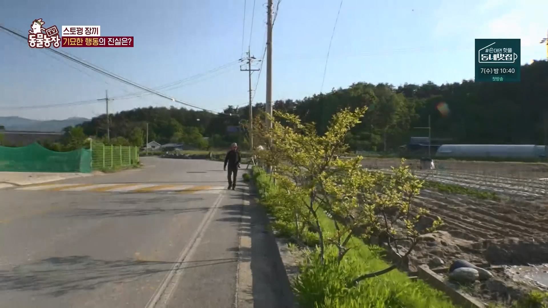 TV 동물농장.E1123.230604p.H264-F1RST.mp4_20230604_173304.592.jpg