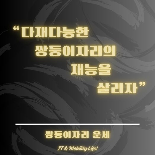 쌍둥이자리 운세