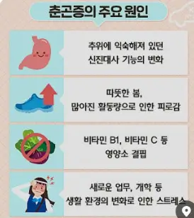 봄철 춘곤증 왜 이렇게 피곤할까 피로감 극복하는 꿀팁