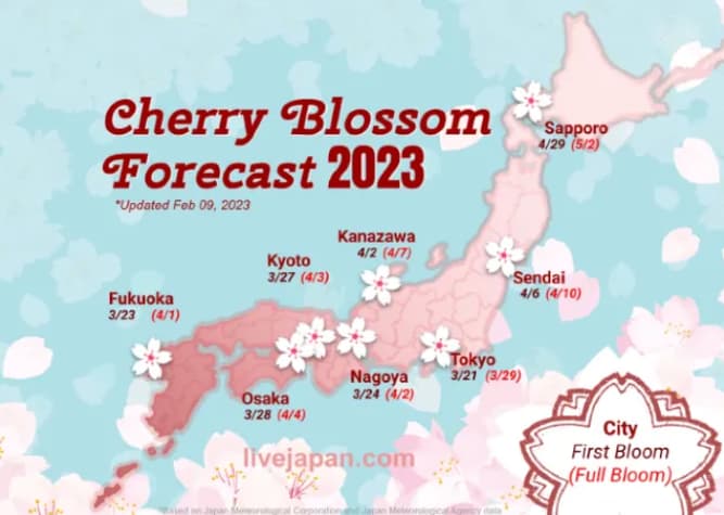 일본-벚꽃여행