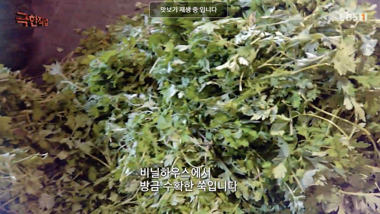 극한직업 쑥떡 주문 택배