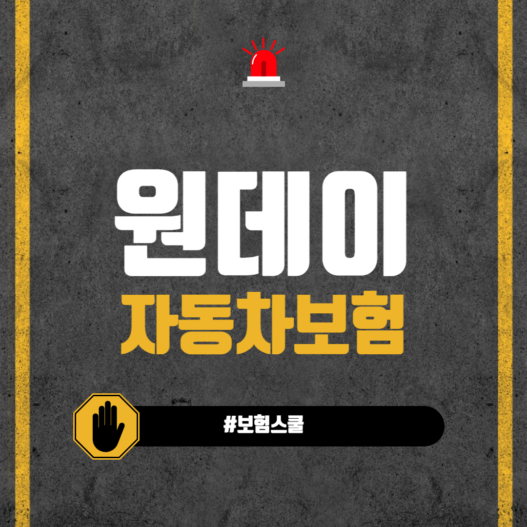 1일 자동차보험