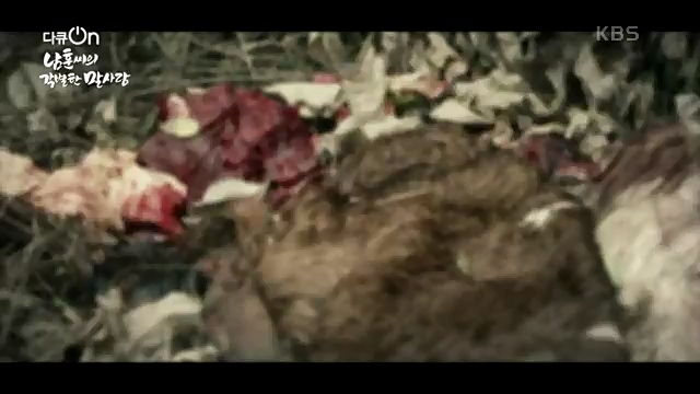 [189회] 다큐온 - KBS남훈 씨의 각별한 말 사랑] 연평균 1400여 마리의 경주마들이 경마장을 떠나 퇴역 경주마가 된다.ts_20230330_211146.150.jpg