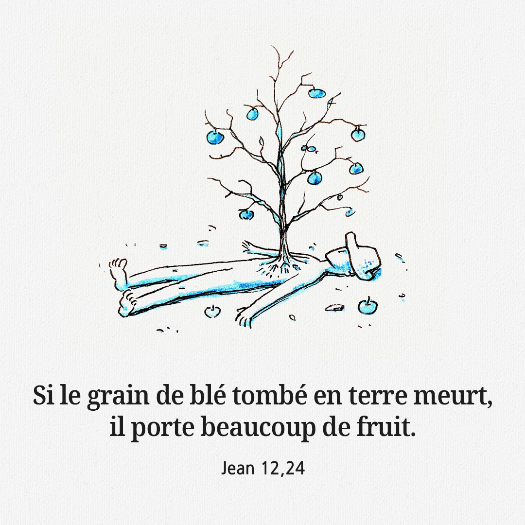 Si le grain de blé tombé en terre meurt&#44; il porte beaucoup de fruit. (Jean 12&#44;24)