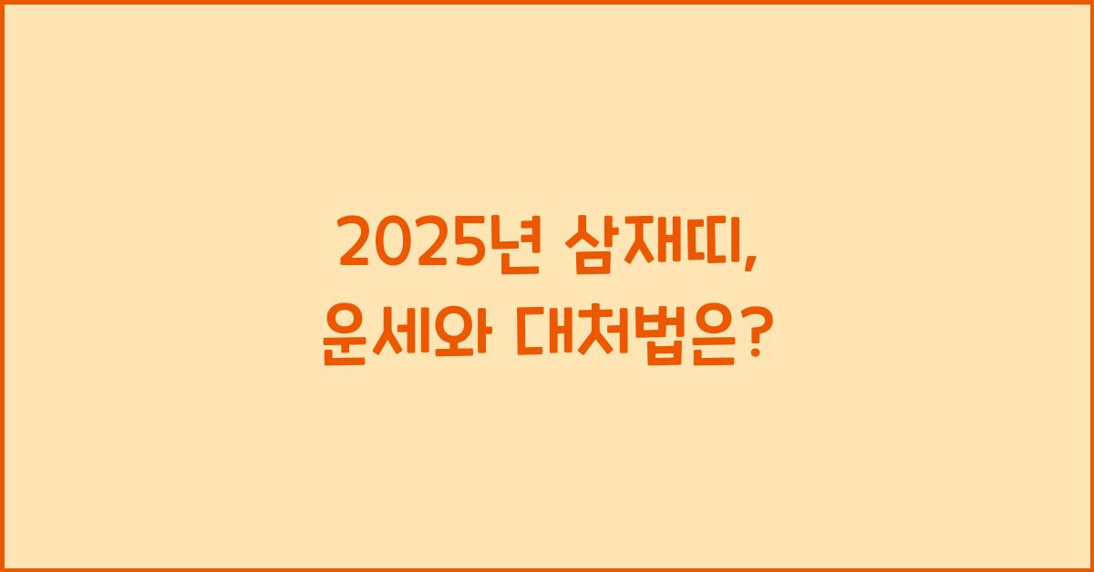 2025년 삼재띠