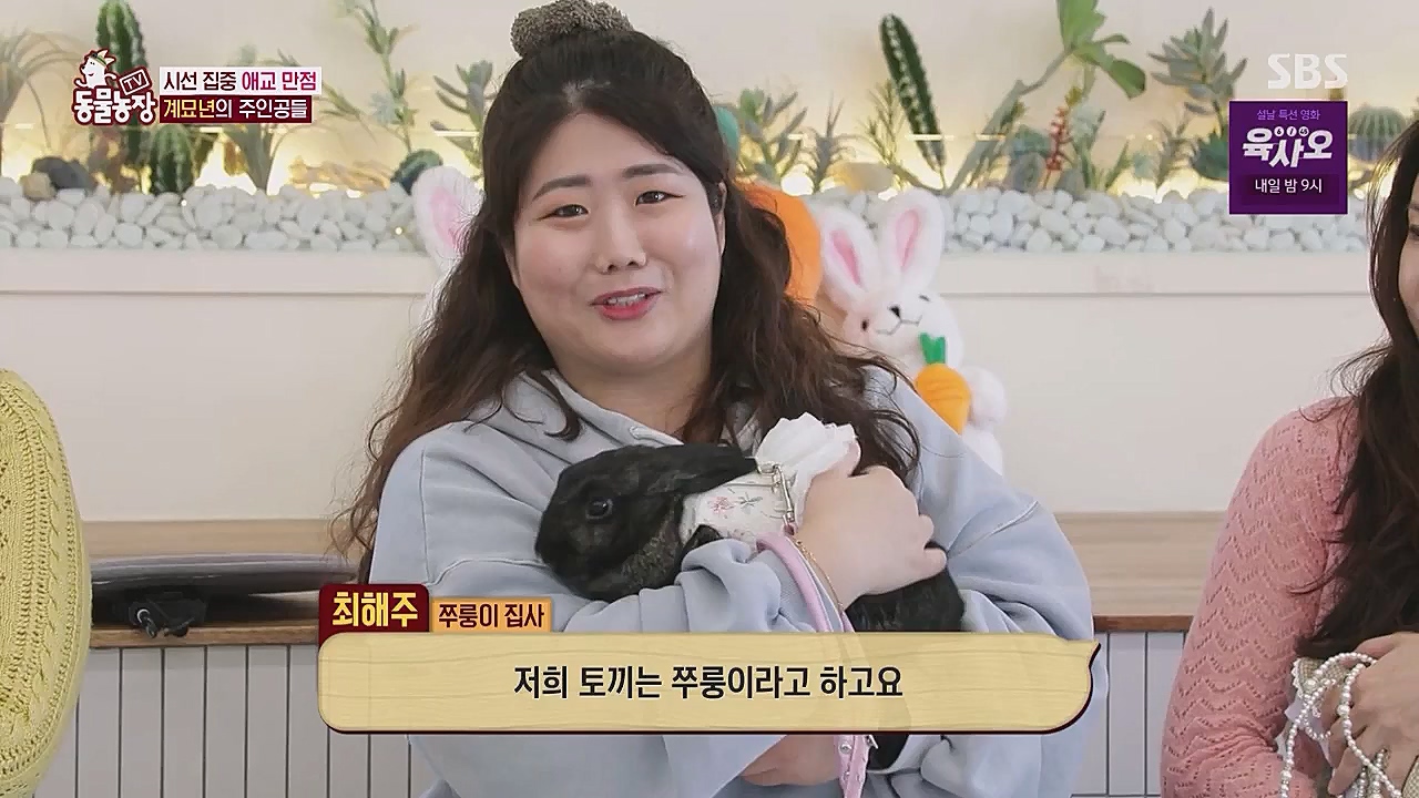 TV 동물농장.E1104.230123p.WANNA.mp4_20230123_195414.071.jpg