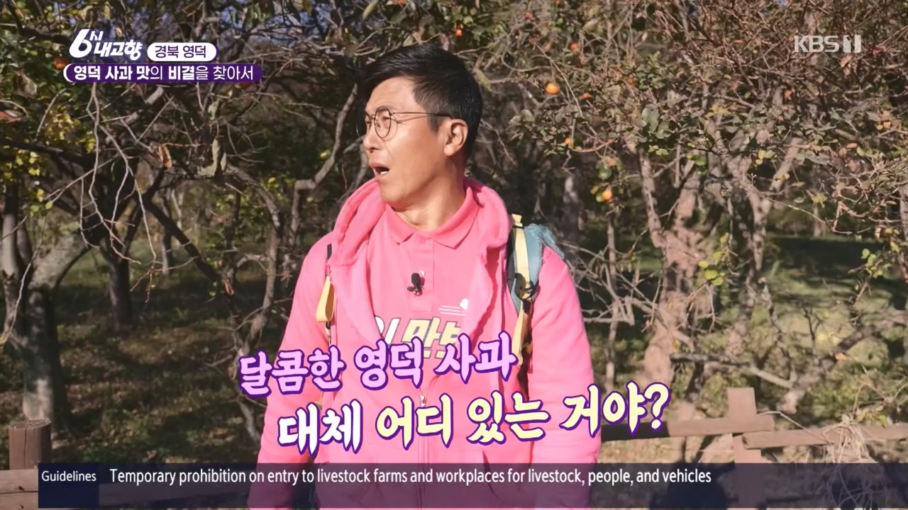 6시 내고향.E7907.231108p.H264-F1RST.mp4_20231108_204720.281.jpg