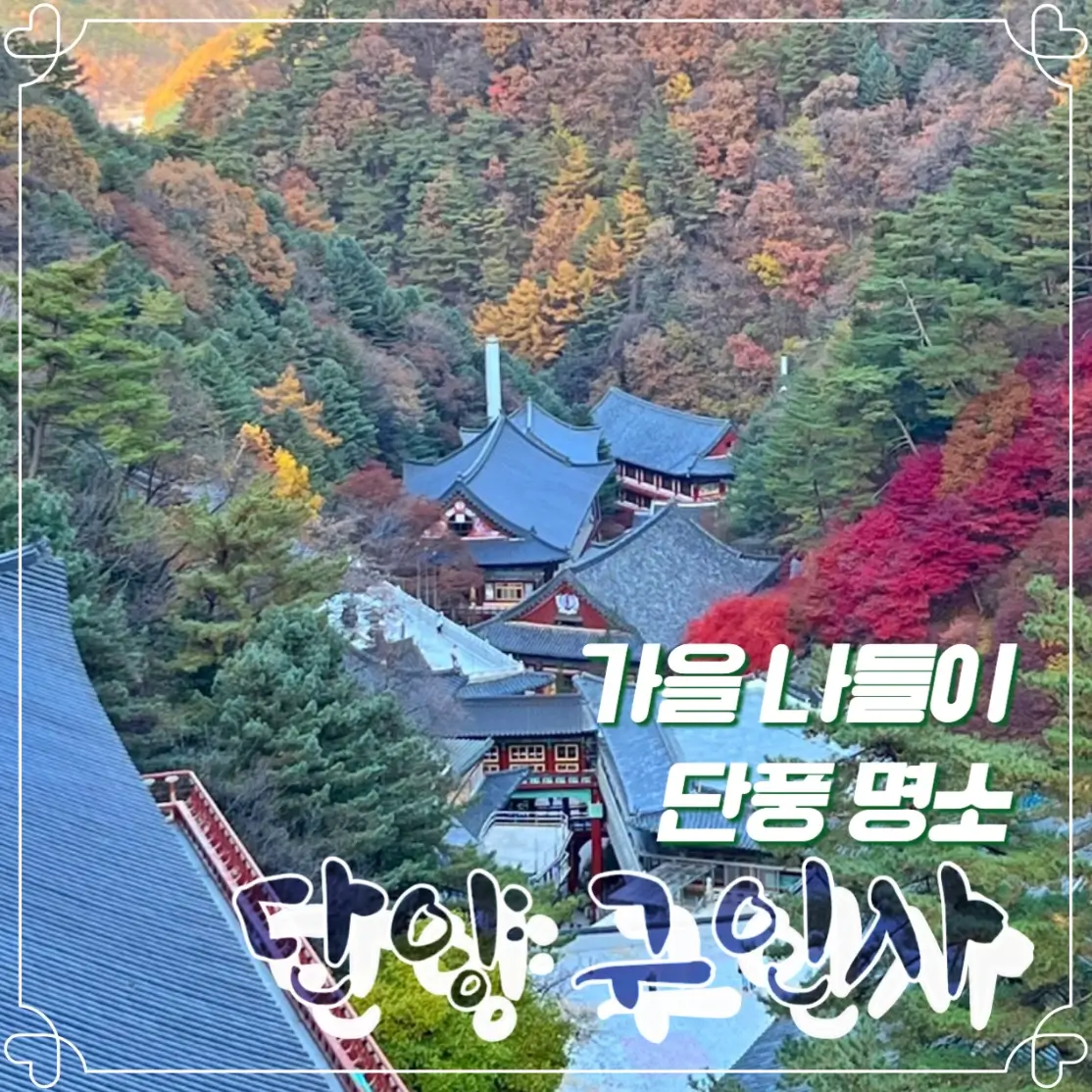  단양 구인사 가을 단풍 명소 템플스테이 주차 셔틀버스 안내