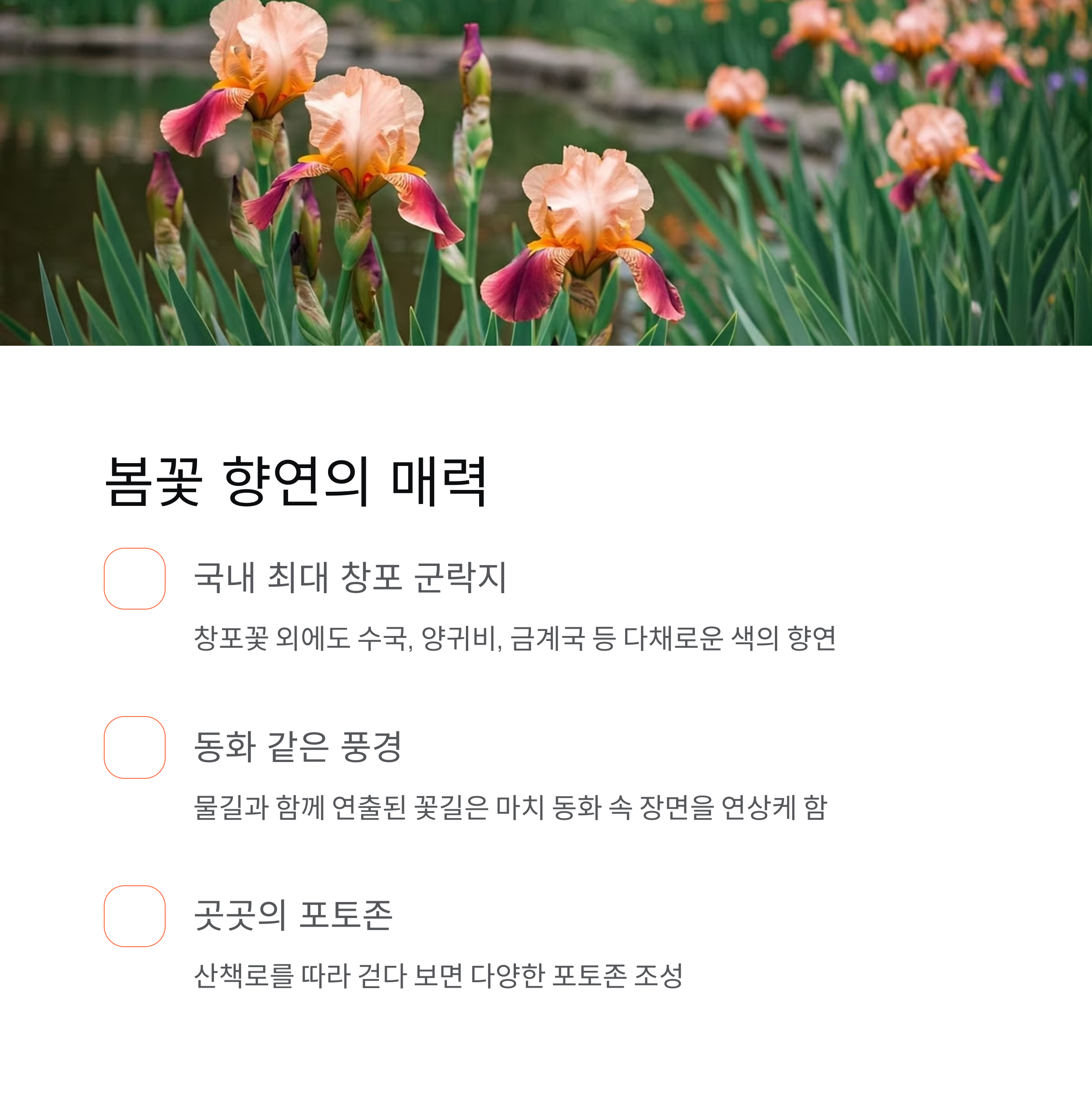 봄의 절정을 담은 거창창포원 꽃축제, 감성 가득 나들이 명소