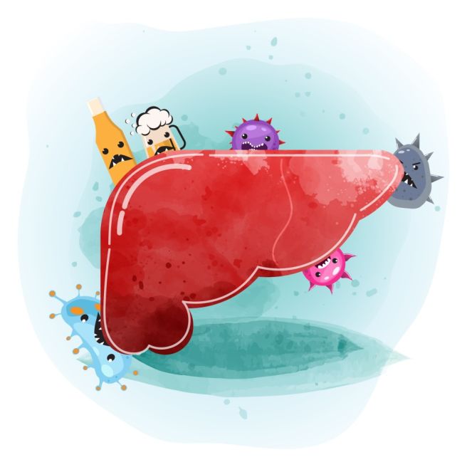 Albumin 수치 