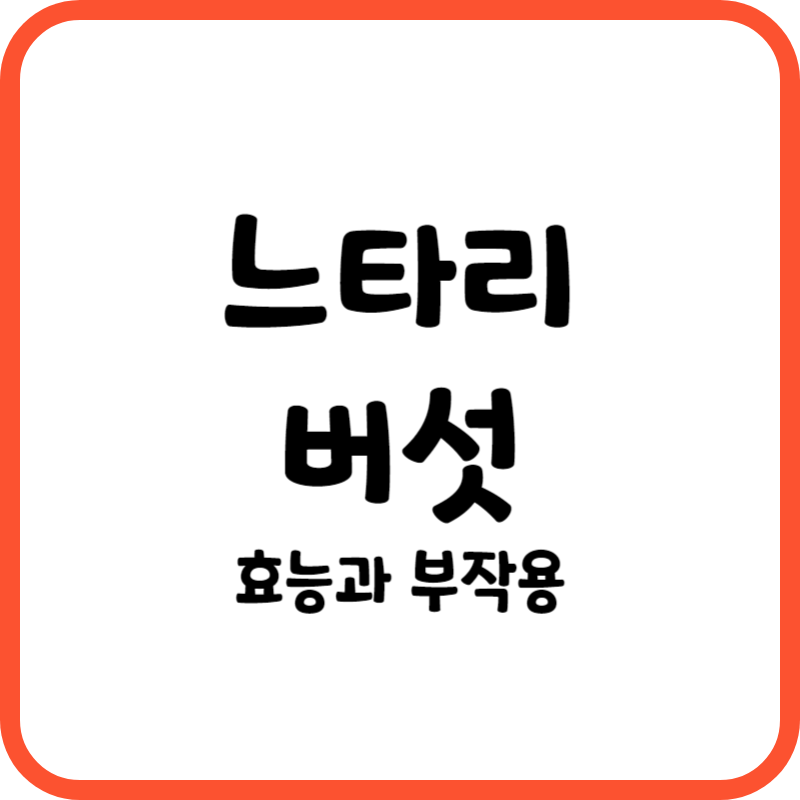 느타리버섯의 효능과 부작용