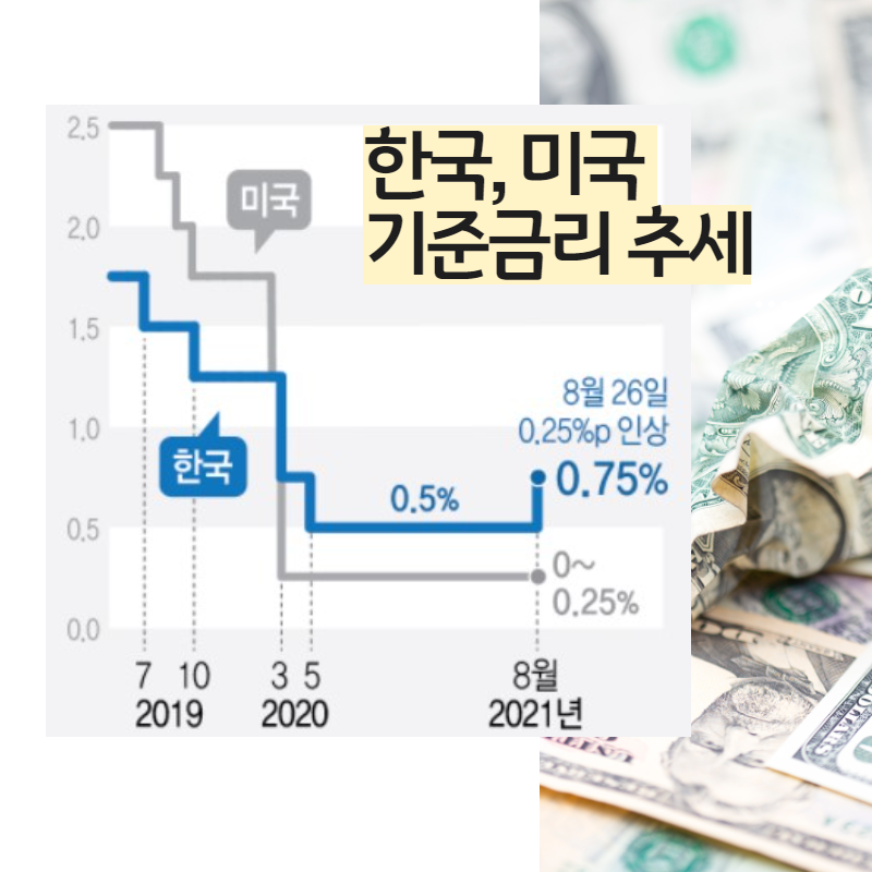 ●금리 인상 후 영향을 받아 한국은행 기준금리 5