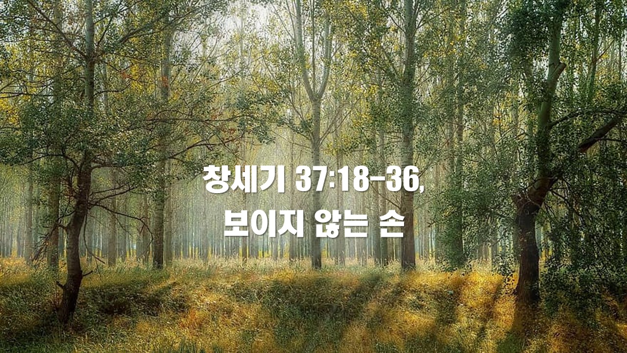  창세기 37:18-36, 보이지 않는 손 Invisible Hand